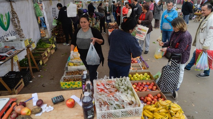 Mercado Activo en el barrio Lomas de Monteverde 